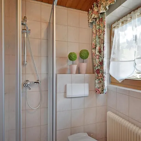 Apartment Haus Elisabeth Sporer *
